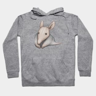 Cute Aardvark Drawing Hoodie